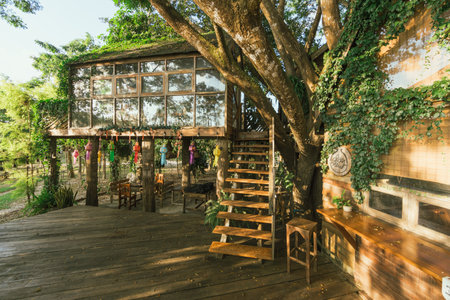 Wooden tree cabin in tropical forestの写真素材