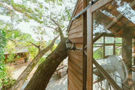 Wooden tree cabin in tropical forest