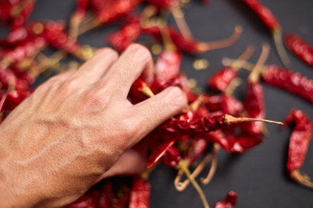 Dried chilli peppers on rustic dark backgroundの写真素材
