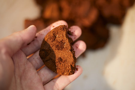 Close up used coffee grounds, selective focus.の写真素材