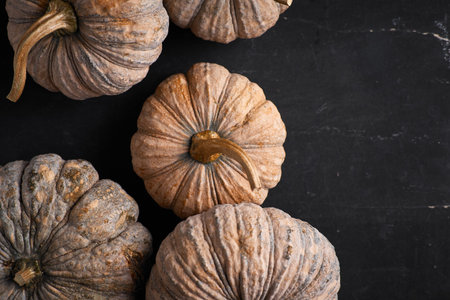 Close up Thai pumpkin on dark background.の写真素材