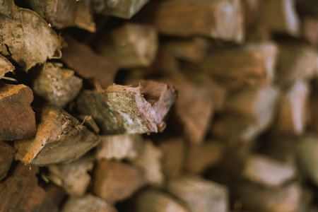 Close up Pile of chopped fire wood prepared for winter