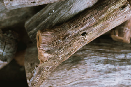 Close up Pile of chopped fire wood prepared for winter
