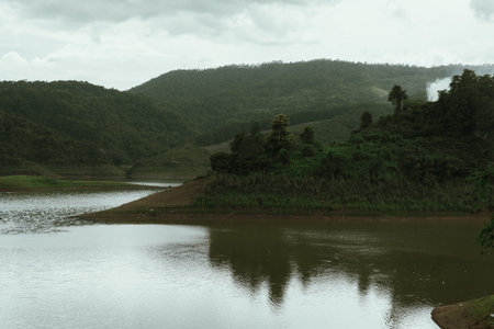 A creek or stream from the mountain in Doi Chang, Chiang rai province, Thailand
