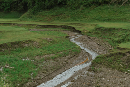 A creek or stream from the mountain in Doi Chang, Chiang rai province, Thailand