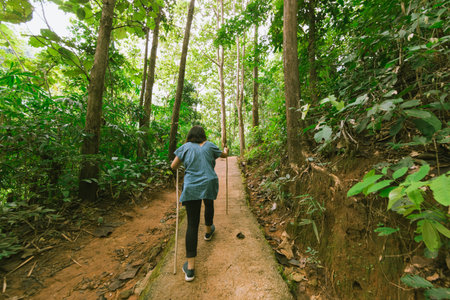 Back view of young female traveler with trekking sticks in thailand forestの写真素材