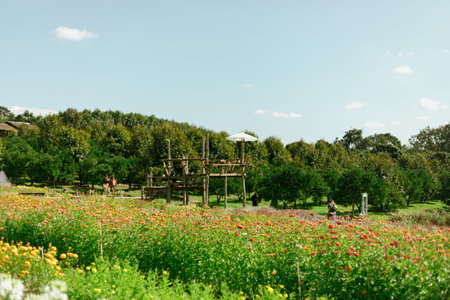 Garden of a lot of flower in chiang rai , Thailand