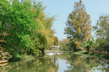 Waterfront green balcony View the garden.の写真素材