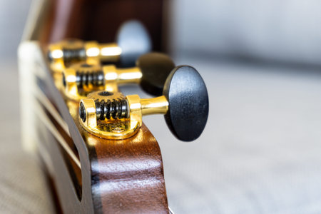 Stockholm, Sweden - March 22, 2021: Close up of guitar keys on handmade classical guitarの写真素材