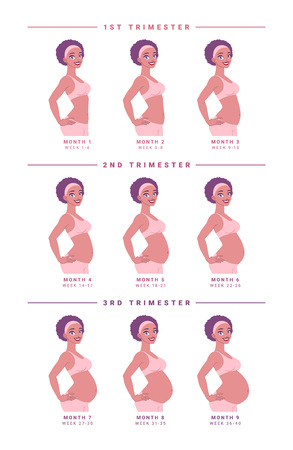 Pregnant woman with growing belly by months. Monochrome vector illustration isolated on white background EPS10.のイラスト素材