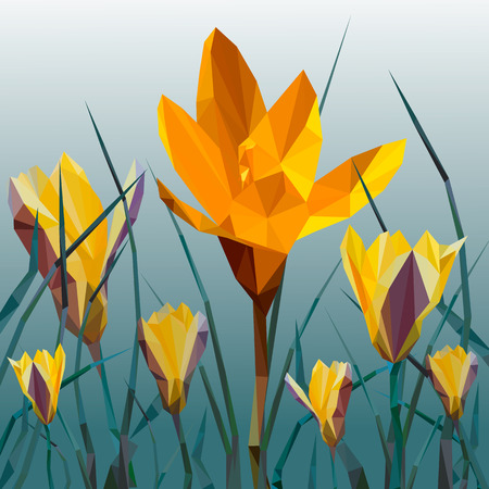 Yellow crocus blooming flowers isolated on white. Spring colorful plants with buds close up.のイラスト素材