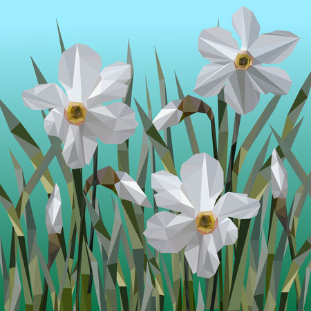Vector of daffodil flowers isolated.のイラスト素材
