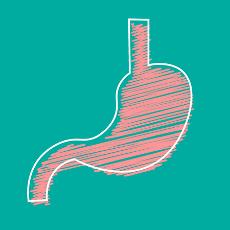 Stomach icon human internal organs symbol. Digestive system anatomy vector illustration in flat style isolated on blue background.のイラスト素材