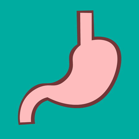 Stomach icon, human internal organs symbol. Digestive system anatomy vector illustration in flat style isolated on blue background.のイラスト素材