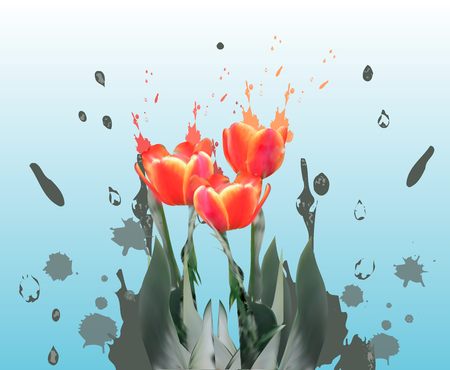 Realistic tulips vector. Spring flower card background template. Woman wedding floral poster. Bouquet design isolated white. Lady holiday girl frame. 8 march international women s day.のイラスト素材