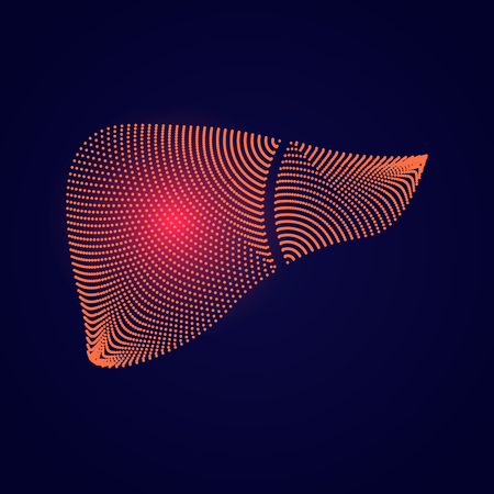 A healthy liver and a liver with cirrhosis. Medical solidarity day concept. Sick liver, Hepatitis.Vector illustration.のイラスト素材