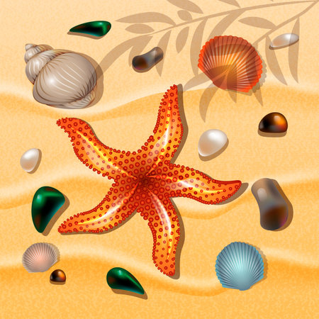 Shells and starfishes on sand background. Summer Theme. Vector illustration.のイラスト素材