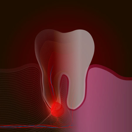 The transition from a real tooth to a point X-ray effect with a point of pain and inflammation. Medical illustration of tooth root inflammation, tooth root cyst, pulpitis. 10 epsのイラスト素材