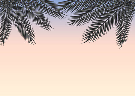 Tropical sky at sunset with palm branches 10 epsのイラスト素材