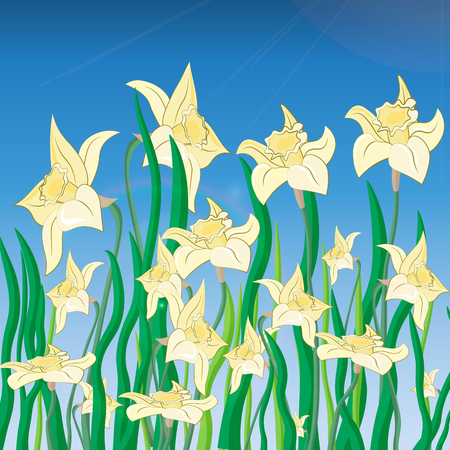 Vector of daffodil flowers on spring background. 10 epsのイラスト素材