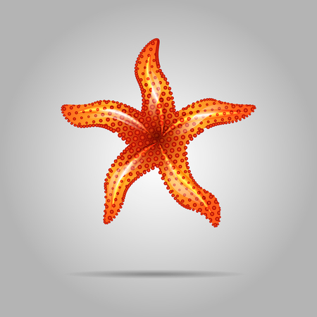 Summer concept represented by orange sea star icon.のイラスト素材