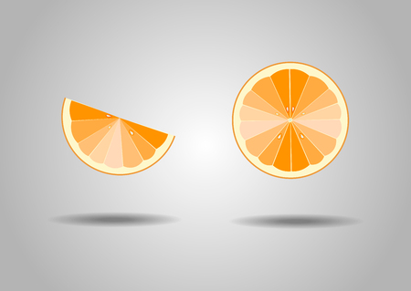 Citrus fruit background. Elements for menu, greeting cards, wrapping paper. 10 epsのイラスト素材
