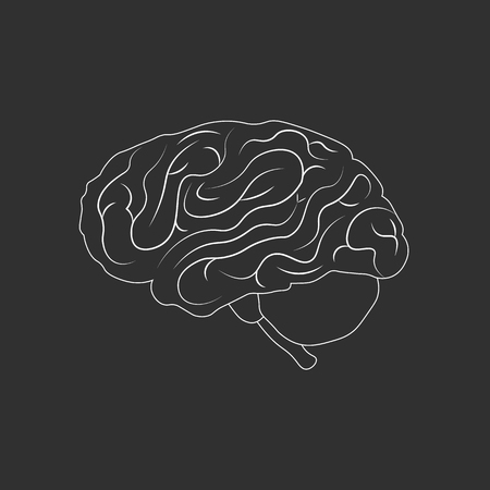 Brain or mind side outline vector icon. medical illustration 10 epsのイラスト素材
