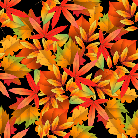 vector seamless pattern on dark background with red and yellow autumn leaves. 10 epsのイラスト素材