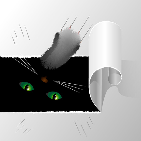 Torn paper. cat paw and eyes in the dark 10 epsのイラスト素材