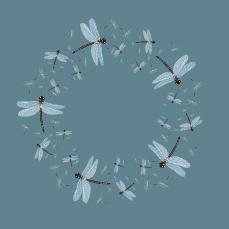 abstract vector dragonfly s and dandelion seeds frame . 10 epsのイラスト素材