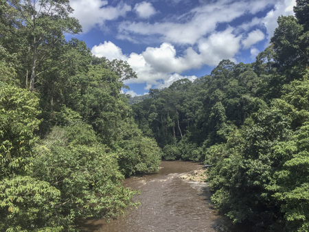 Meliau Basin Lost World Conservation Area rainforest jungle and river over the blue sky in Tawau, Sabah, Malaysia.の写真素材