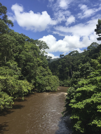 Meliau Basin Lost World Conservation Area rainforest jungle and river over the blue sky in Tawau, Sabah, Malaysia.の写真素材