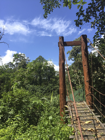 Hanging or suspension bridge in the tropical rainforest jungle in Meliau Basin Lost World Conservation Area, Tawau, Sabah, Malaysia.の写真素材