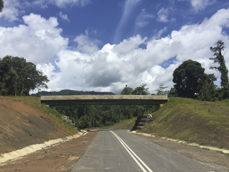 Wildlife crossing bridge inside the Borneo Rainforest jungle located in Meliau Basin Lost World Conservation Area, Tawau, Sabah, Malaysia.の写真素材