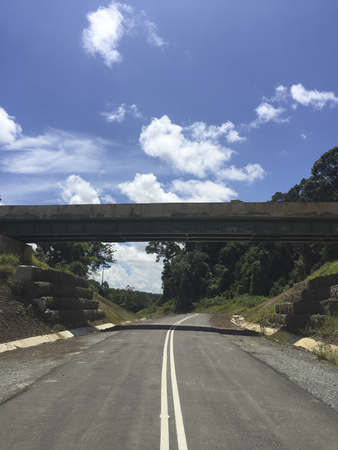 Wildlife crossing bridge inside the Borneo Rainforest jungle located in Meliau Basin Lost World Conservation Area, Tawau, Sabah, Malaysia.の写真素材