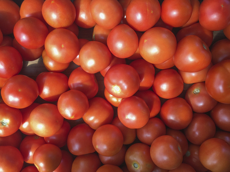 Fresh red tomatoes.の写真素材