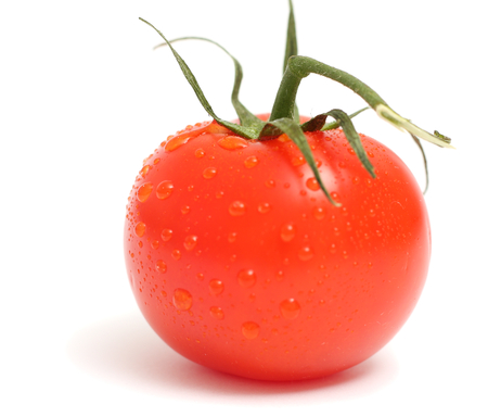 tomato isolated on white backgroundの写真素材