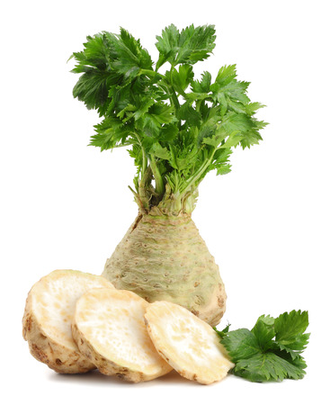 celery root with leaf isolated on white background. Celery isolated on white. Healthy foodの写真素材