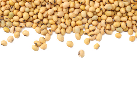 Soybeans isolated on white background. top viewの写真素材