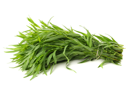Tarragon leaves ( Artemisia dracunculus ) isolated on white backgroundの写真素材