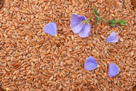 flax seeds texture. flax seeds background. flaxseed or linseed. Cereals. top viewの写真素材