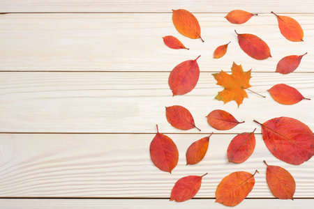 autumn background with colored leaves on wooden board. top view with copy space