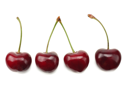 4 red cherry isolated on white backgroundの写真素材