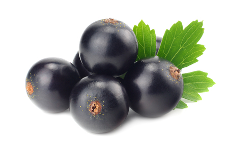 black currant with green leaf isolated on white background. macroの写真素材