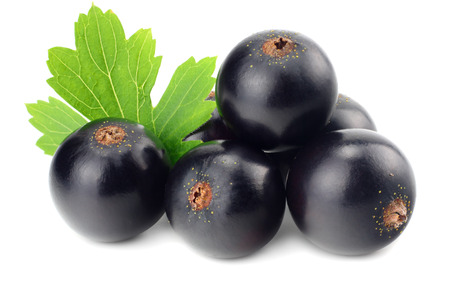 black currant with green leaf isolated on white background. macroの写真素材