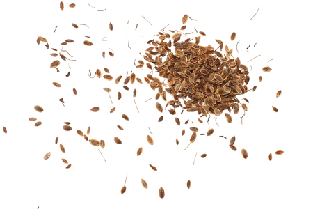 dill seed isolated on white background. top viewの写真素材