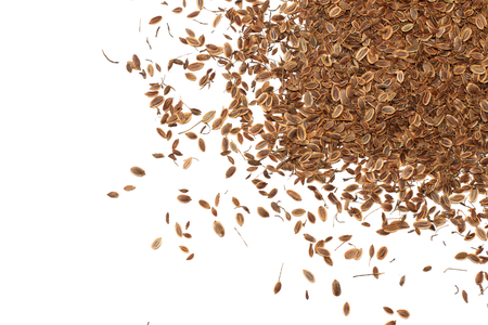 dill seed isolated on white background. top viewの写真素材