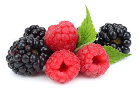 blackberries with raspberries and green leaf isolated on white background. macro