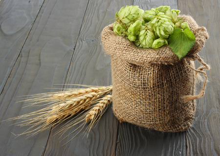 Beer brewing ingredients Hop cones in sack and wheat ears on dark wooden background. Beer brewery concept. Beer backgroundの写真素材