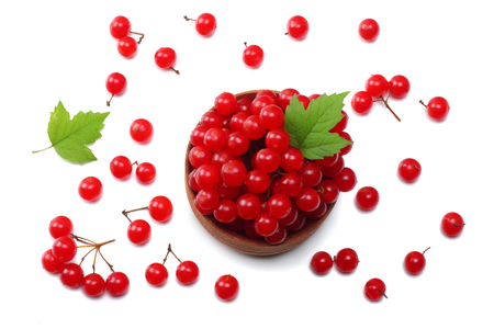Red berries of Viburnum (arrow wood) in wooden bowl with green leaf isolated on white background top viewの写真素材